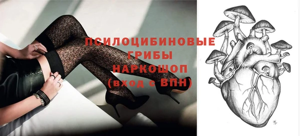 твердый Алзамай